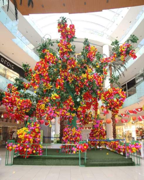 FB_IMG_1537893654558